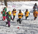 В Южно-Сахалинске завершился третий сезон  Детсадовской семейной хоккейной лиги