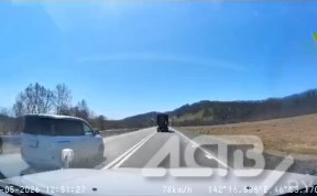 Происшествия