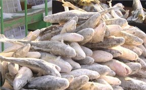Южносахалинцам напоминают о местах, где можно купить рыбу по доступной цене