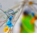 Провода без изоляции, плесень на стенах, бытовой мусор: директора УК на Сахалине оштрафовали за нарушения