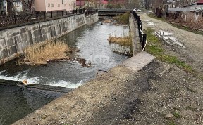 Общество