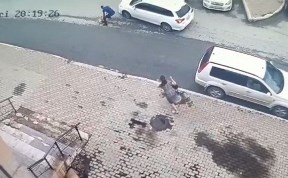 Происшествия