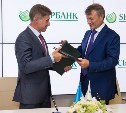 На Восточном экономическом форуме подписано соглашение о создании в Сахалинской области рыбной биржи