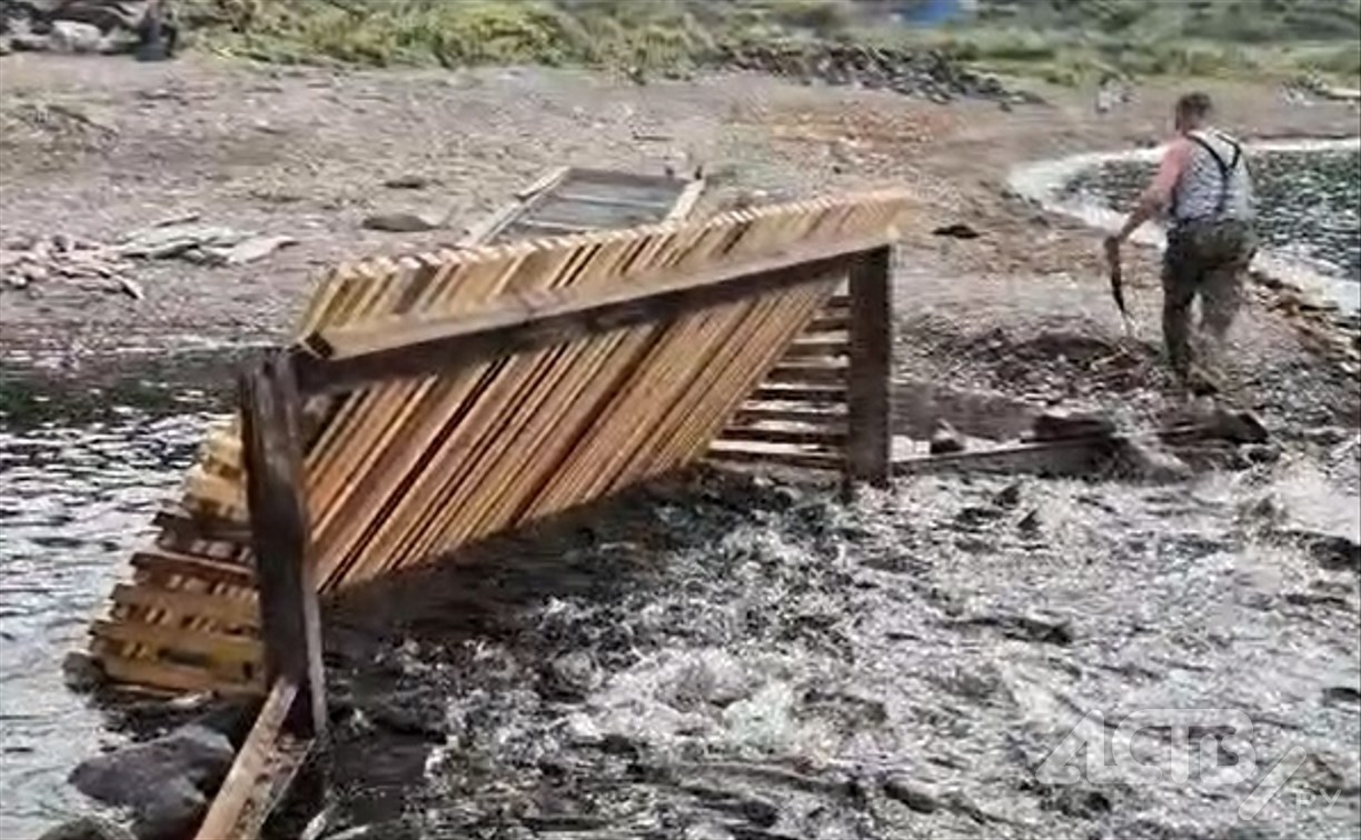 Видео с РУЗом на реке в Зырянском, которое не пускает рыбу в верховье, возмутило сахалинцев 