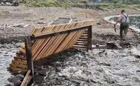 Общество