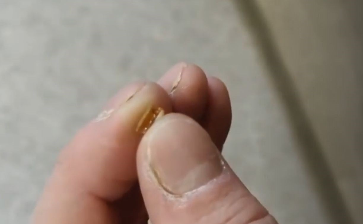 Амурчанин заподозрил, что стал жертвой аферы, сняв квартиру в Благовещенске