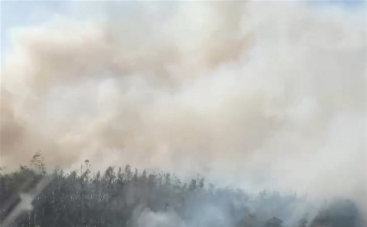 "Все заволокло дымом капитально": неизвестные подожгли берег озера Буссе