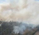 "Все заволокло дымом капитально": неизвестные подожгли берег озера Буссе