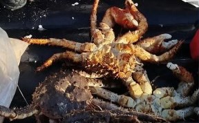 Общество