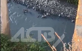 Общество