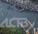 "Что они в нее сливают": в Новотроицком речка окрасилась в непонятные цвета