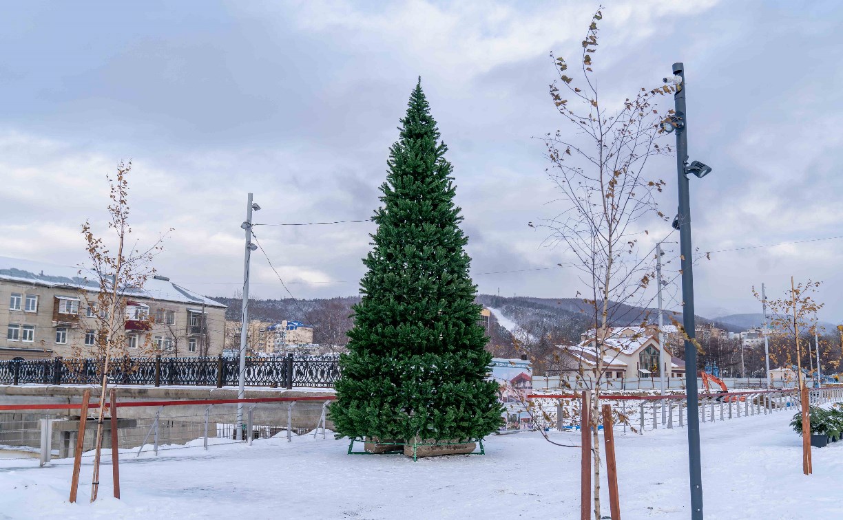 В Южно-Сахалинске установили елку на набережной реки Рогатки 