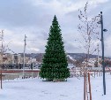 В Южно-Сахалинске установили елку на набережной реки Рогатки 