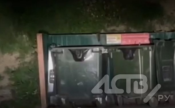 Жители Корсакова жалуются на нашествие крыс возле мусорных контейнеров