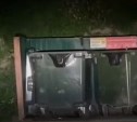 Жители Корсакова жалуются на нашествие крыс возле мусорных контейнеров