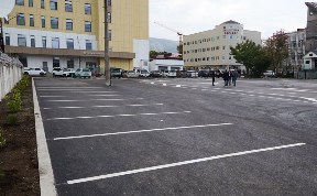 Общество