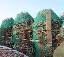 На Сахалине рыбопромысловые компании оштрафованы на миллионы рублей