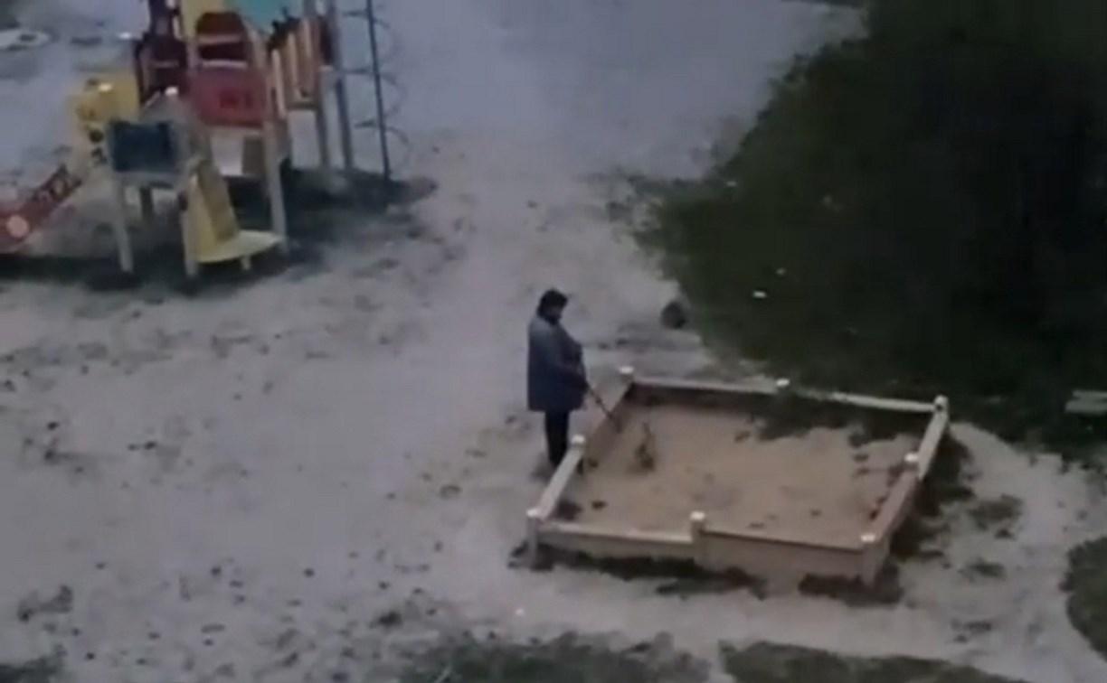 Женщина в Луговом выгуляла кошку в детской песочнице