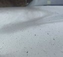 Чёрный "снег" испачкал автомобили в Корсакове