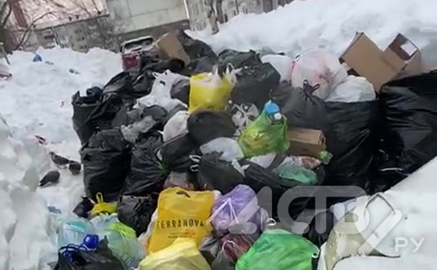 Проулок "мусорный" появился в Южно-Сахалинске во время затяжного циклона