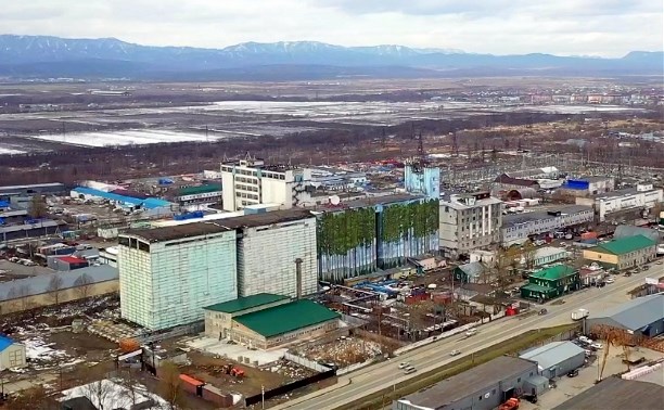 "Самый большой стрит-арт в ДФО": сосновый бор на элеваторе в Южно-Сахалинске планируют сделать больше