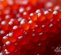 Сахалинцев предупредили об опасных личинках, которые могут прятаться в икре "пятиминутке"