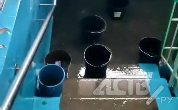 "Дежурим с вёдрами по очереди": школу в Александровске-Сахалинском затопило по первый этаж