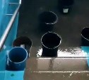 "Дежурим с вёдрами по очереди": школу в Александровске-Сахалинском затопило по первый этаж
