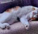 Отопительный сезон в Южно-Сахалинске, Углегорске и Долинске начнётся 1 октября