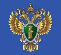 Сахалинская прокуратура организовала проверку по факту ЧП в школе областного центра