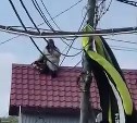 Очевидец: парашютист приземлился на крышу дома в Южно-Сахалинске