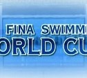 Сахалинка заняла пятое место на этапе Кубка мира по плаванию
