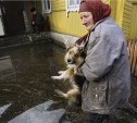 В Южно-Сахалинске прогнозируется подъем воды на реках 