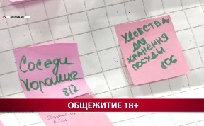 Общество
