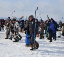 Соревнования «Сахалинский лед» пройдут 21 февраля