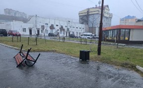 Общество