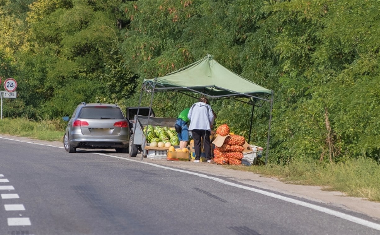 Сахалинцев просят не покупать фрукты у дороги