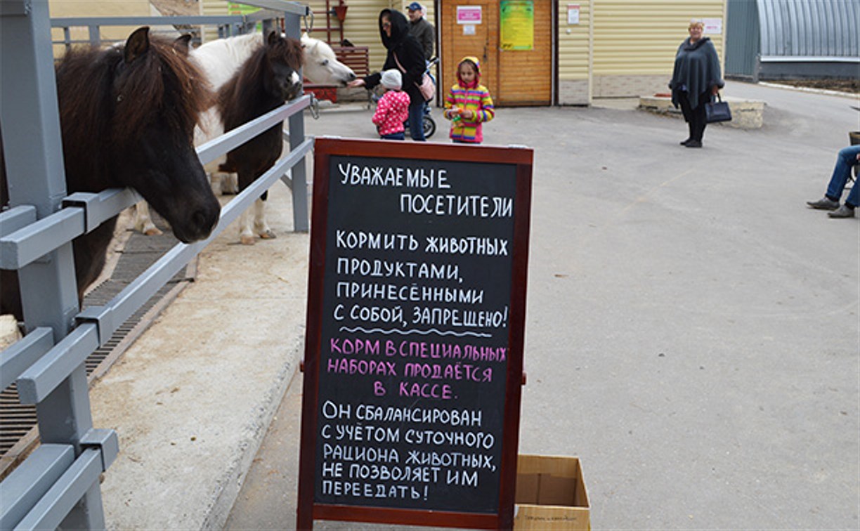 Посетители Сахалинского зоопарка чуть не убили двух его обитателей