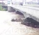 "Последний мост снесёт": жители Томари просят пригнать экскаватор на реку