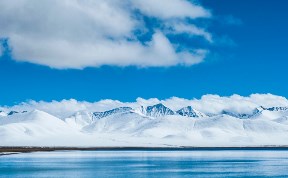 Происшествия