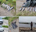 Два автомобиля со свежей симой попались полицейским во время рейда в Стародубском 