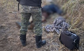 Происшествия
