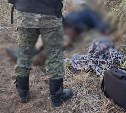 Мертвого пенсионера нашли на берегу реки в Поронайском районе