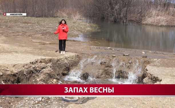 "Канализация течёт в Сусую и в залив": пришла весна, и в Новотроицком вновь запахло фекалиями