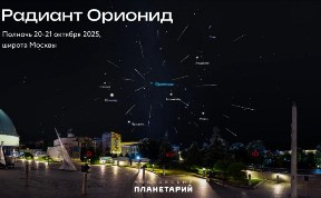 Общество