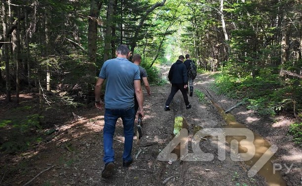 Изолента и "закладки": astv.ru выяснил, что скрывает лес в месте нападения медведя на Сахалине