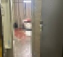 Сахалинский геймер приехал в Петербург и убил школьницу: возбуждено дело