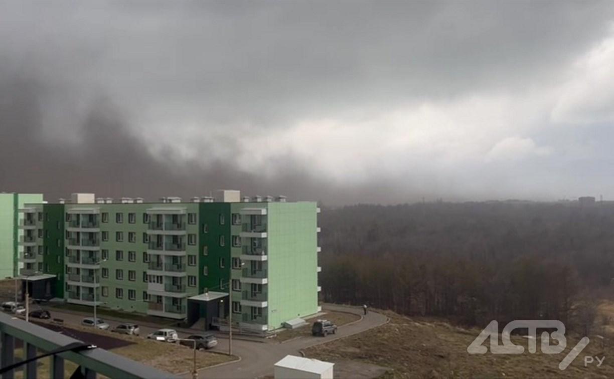 Огромное облако угольной пыли на Сахалине заинтересовало транспортную прокуратуру