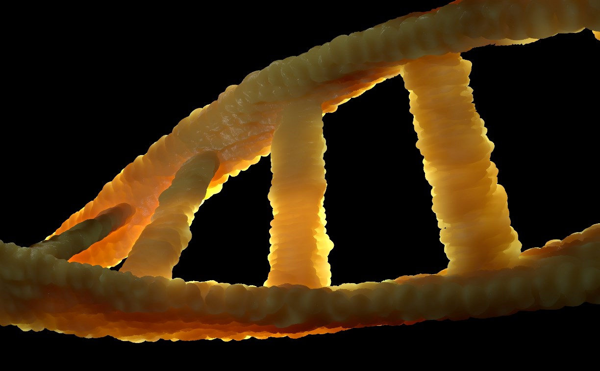 В Южно-Сахалинске врачи-онкологи в течение пяти дней будут консультировать всех желающих