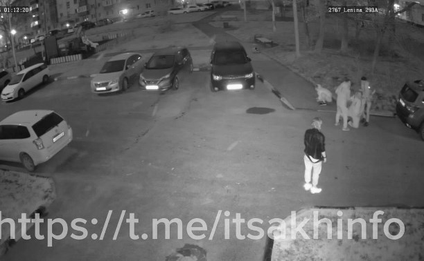 Один против всех: ночная драка попала на камеру наблюдения в Южно-Сахалинске